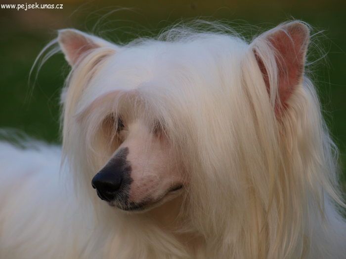 Julien ze Zatopene Chajdy