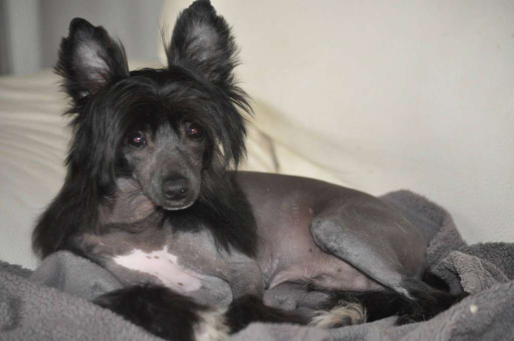 Krasotka Star Jackson Michael