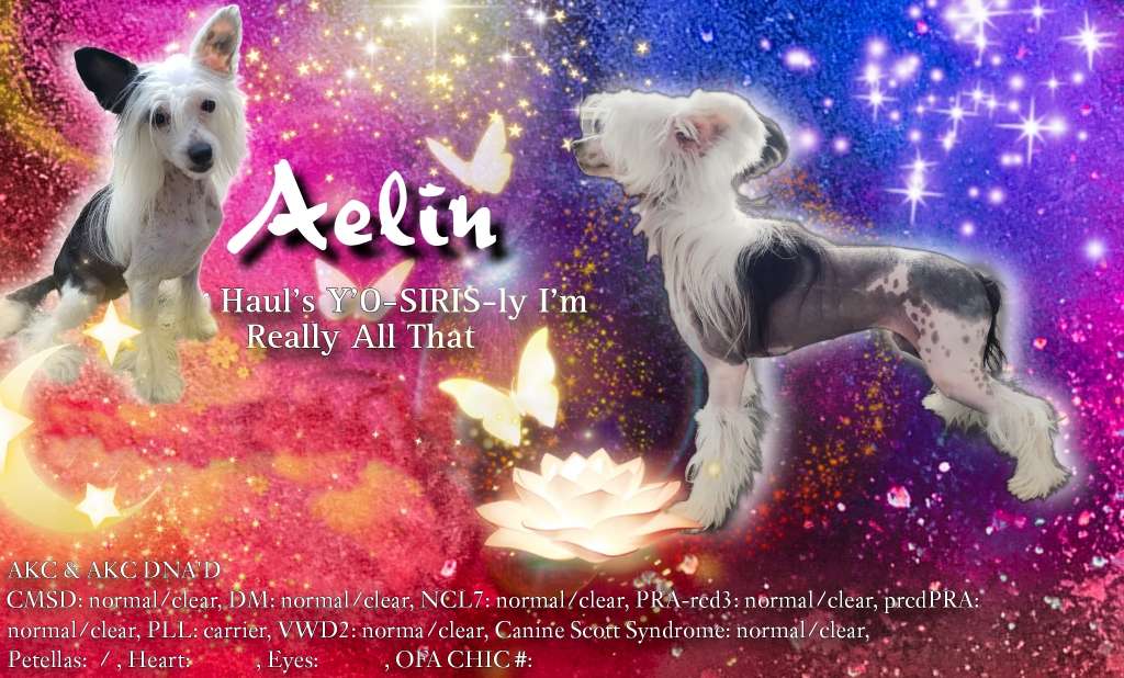 Long Haul's Y'o-siris-ly I'm Really All That