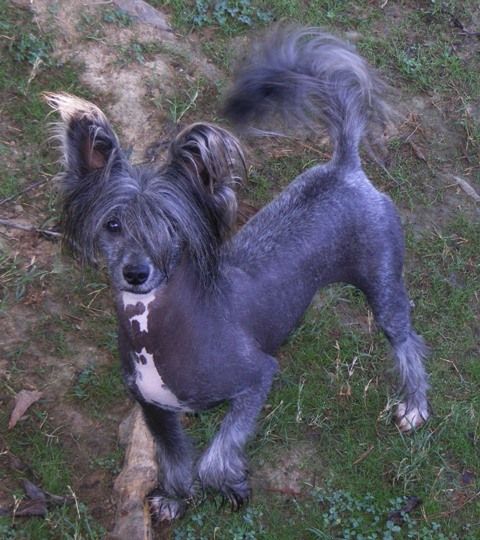 Bayshore Wanrod Down Under