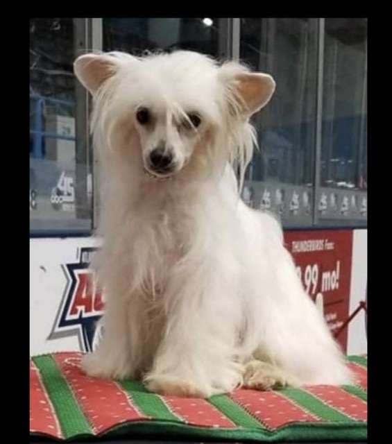 Colliwoods natural beauty