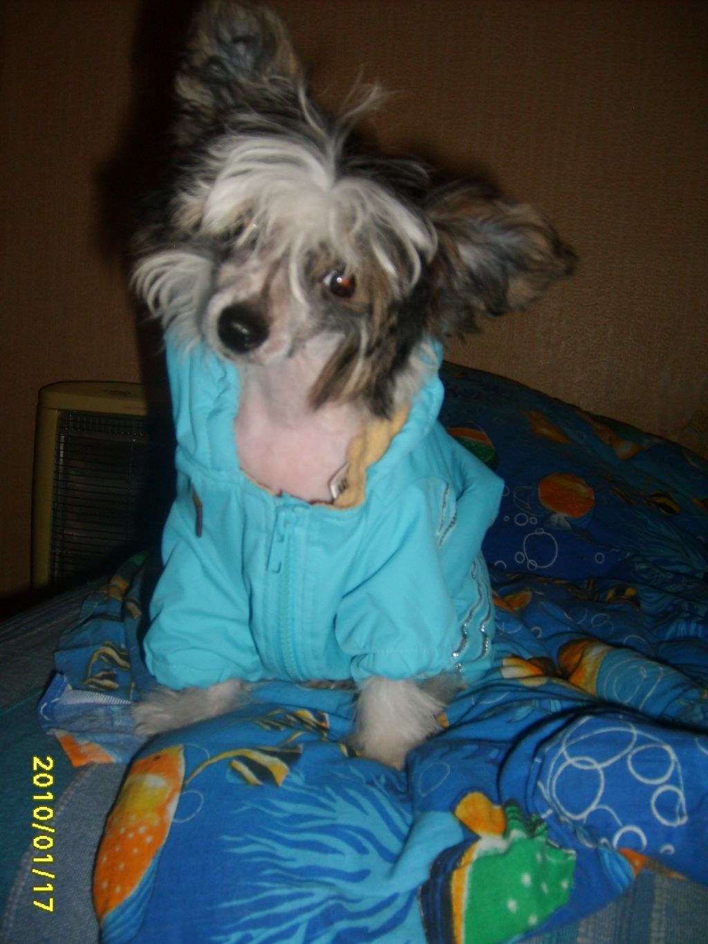 Picture