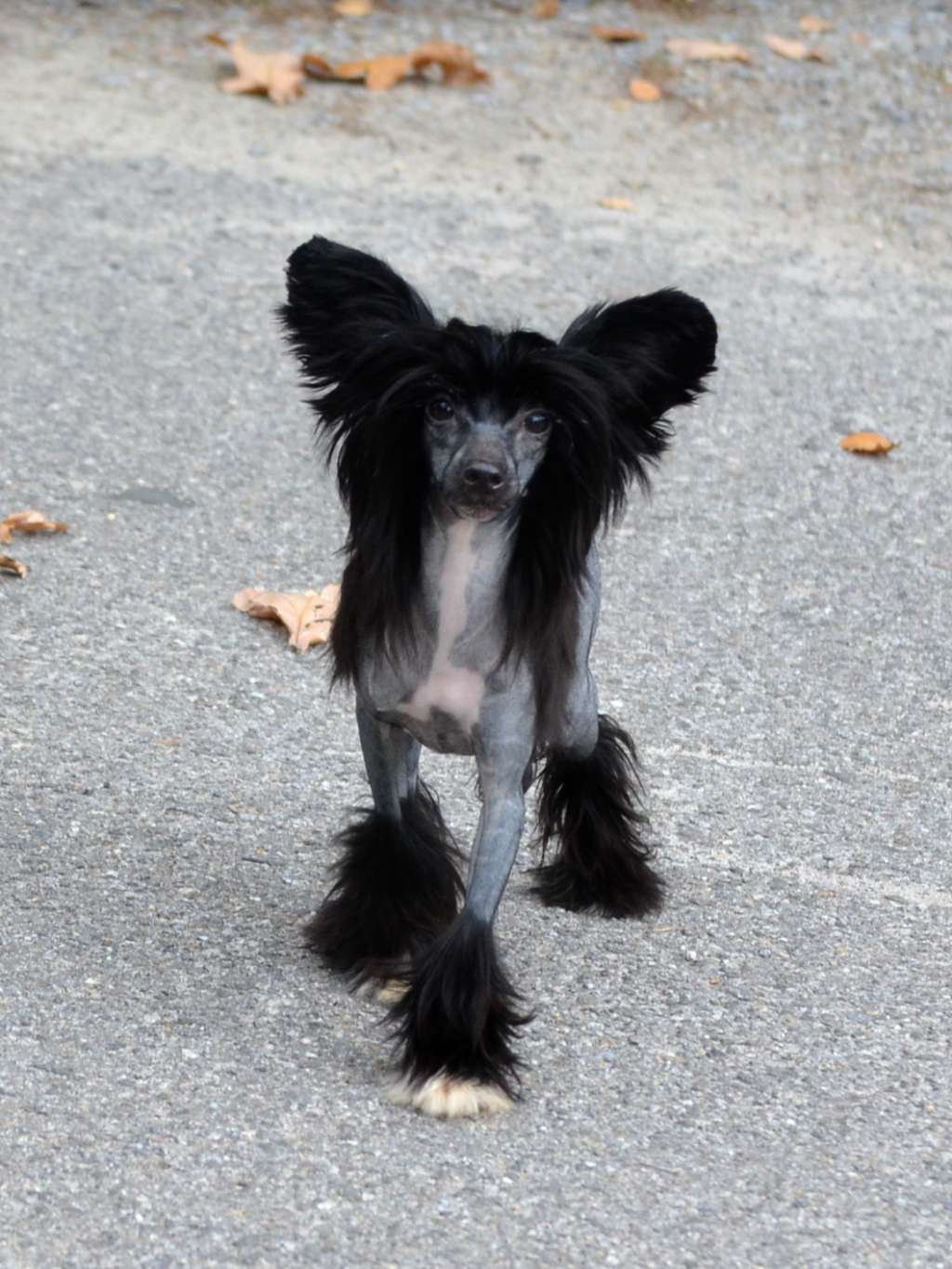 Magic of Success Naomi