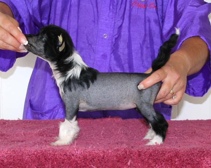 Jewels Mind Your Own Business