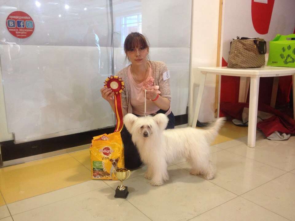 Sky Miracle Marmalade White