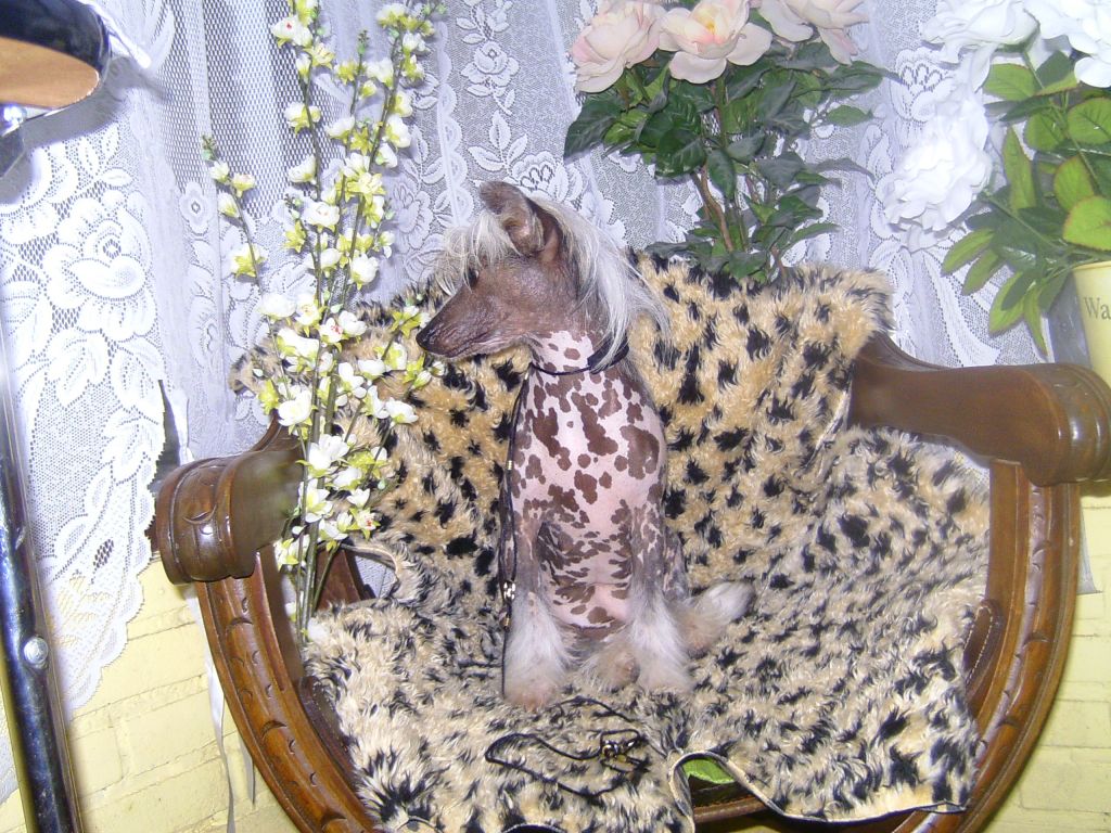 Picture