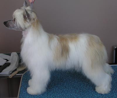 Bayshore Wanrods Totaly Sinful