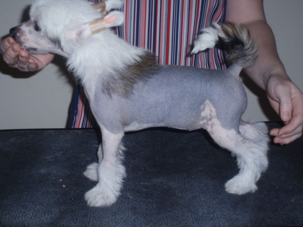 Souldrop's Angel Eyes