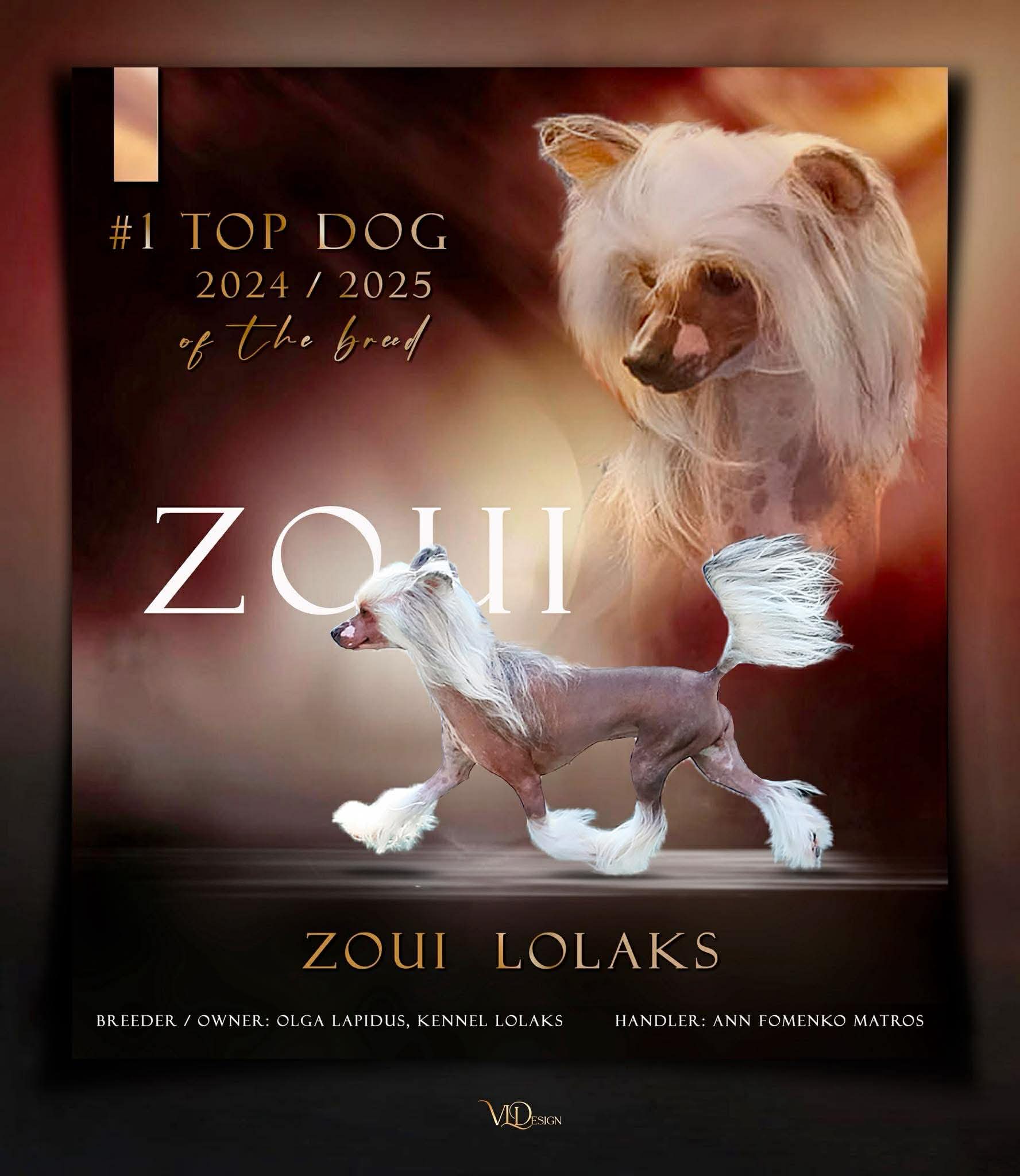 Zoui LOLAKS