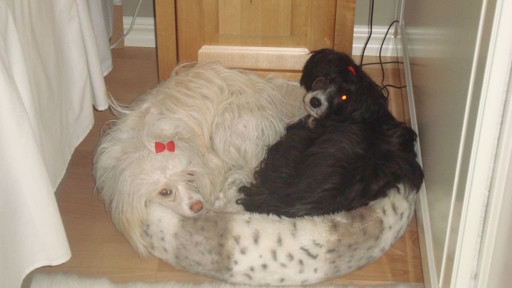 Sea Fire's Una La Toya