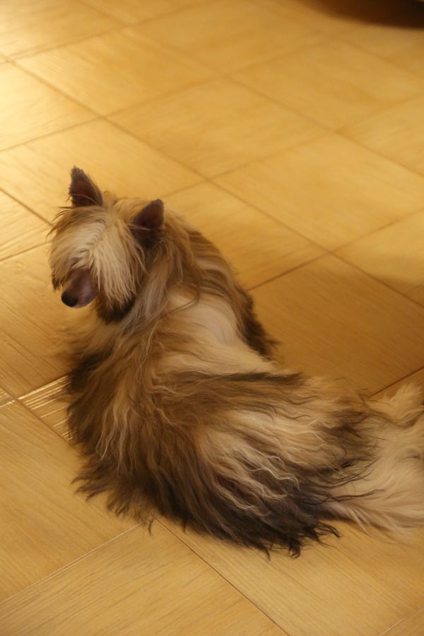 Olegro Katrin Evogue Way