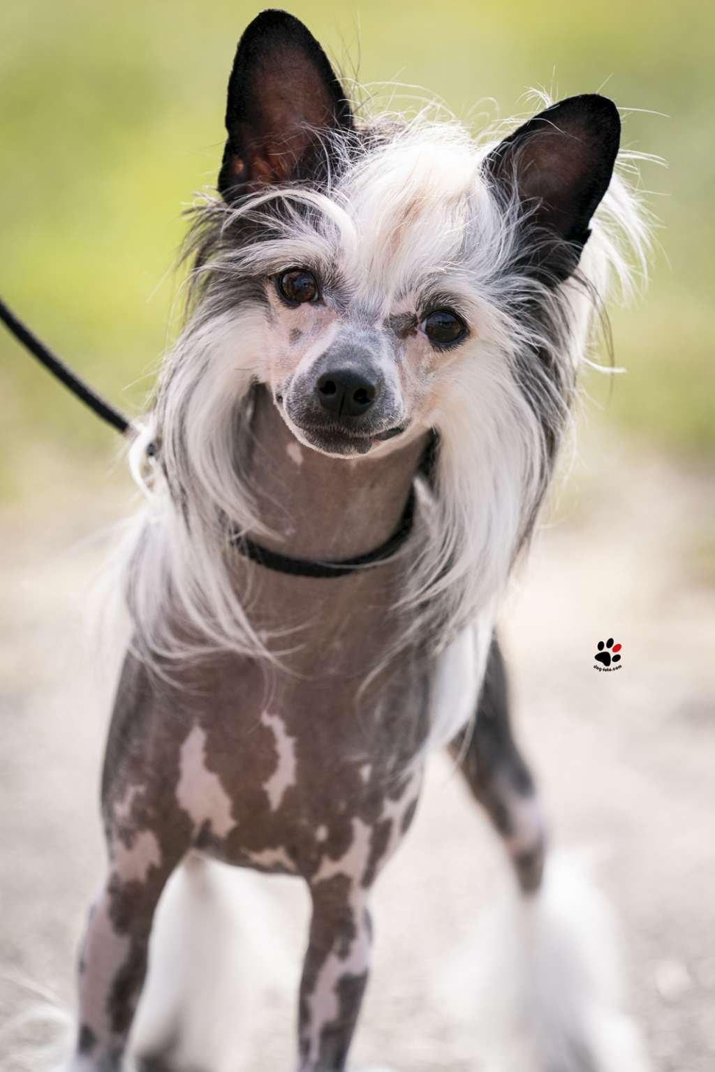 Fancy Flowers Aesthetic Amulett