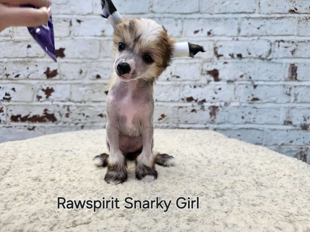 Rawspirit Snarky Girl