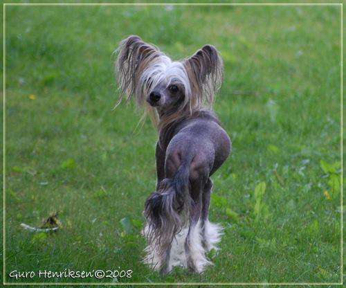 Tournais Under The Sun To Qu-Ya-Ya