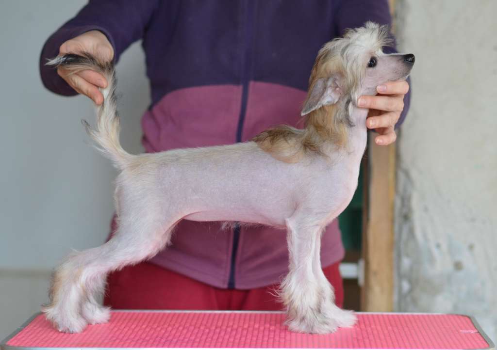 Naomi iz Sozvezdiya Khana