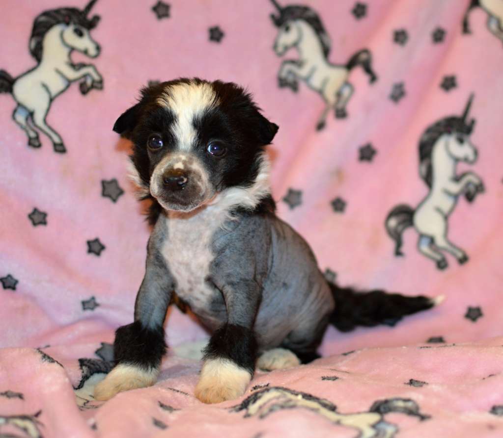 Xmas Donation z Andelovy dlane