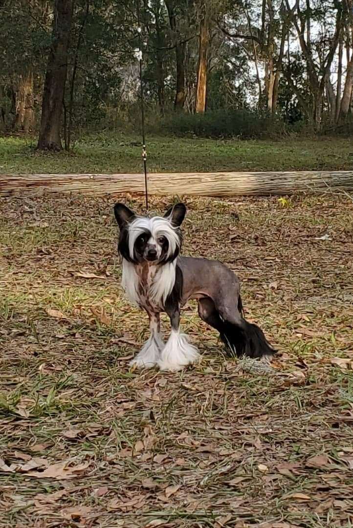 Energy Di Hakuna-Matata