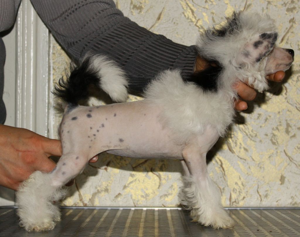 Premier Mari Issidora Dunkan