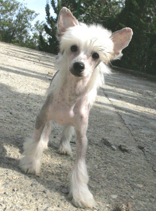 To be or not tobe Della Casatfiore