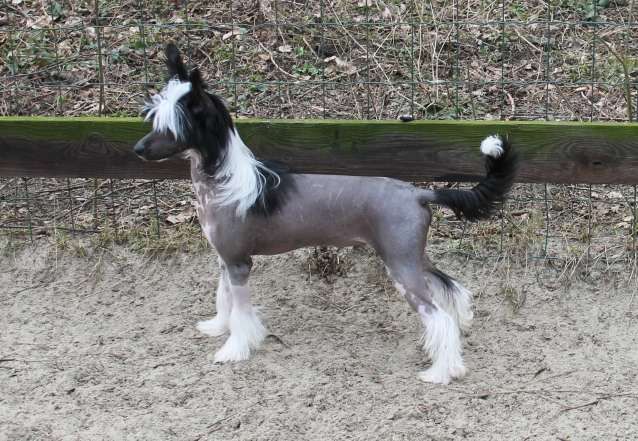 Lucifer Top Model De Rama