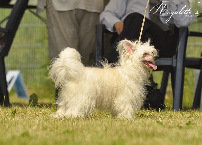 Giandujan Chakkyraraja
