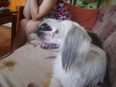 Picture