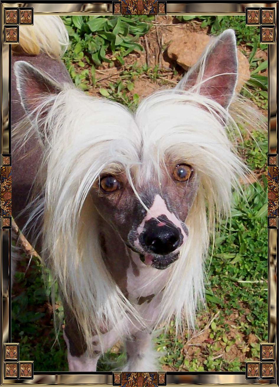 Premier Put Me N Coach At Baldpark