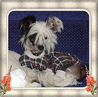 Belshaw's Ghost Myst