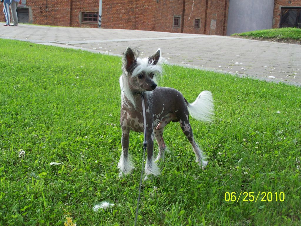 Russkiy Samurai Klifford