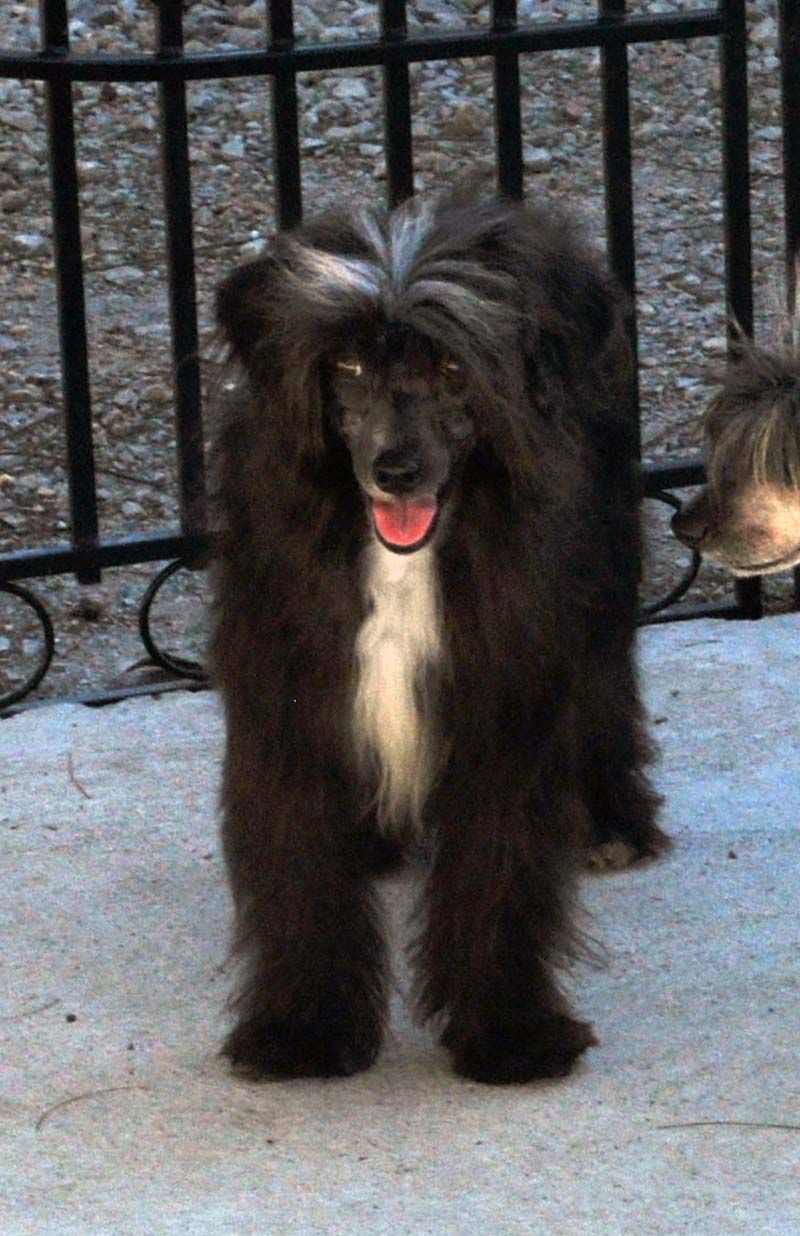 Silver Bluff Dressed In Black