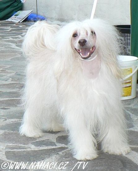 Picture