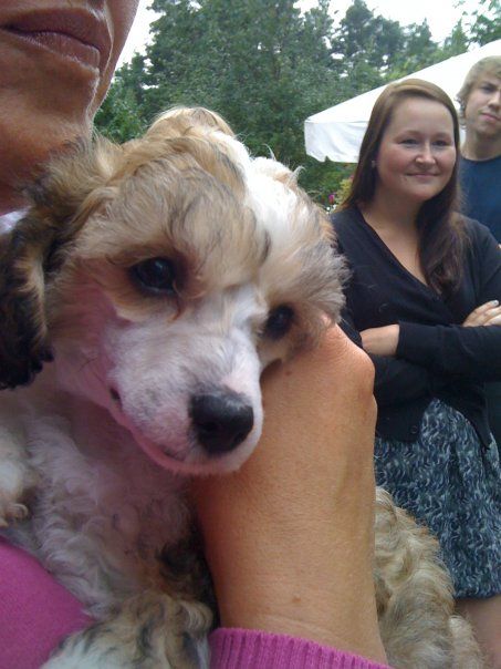 I'skytrouble's Angel In Blue Waves