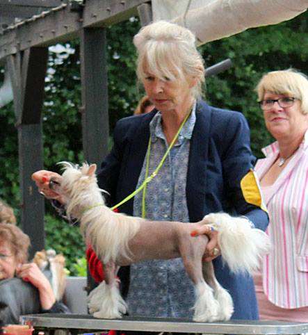 Especially Escada von Shinbashi