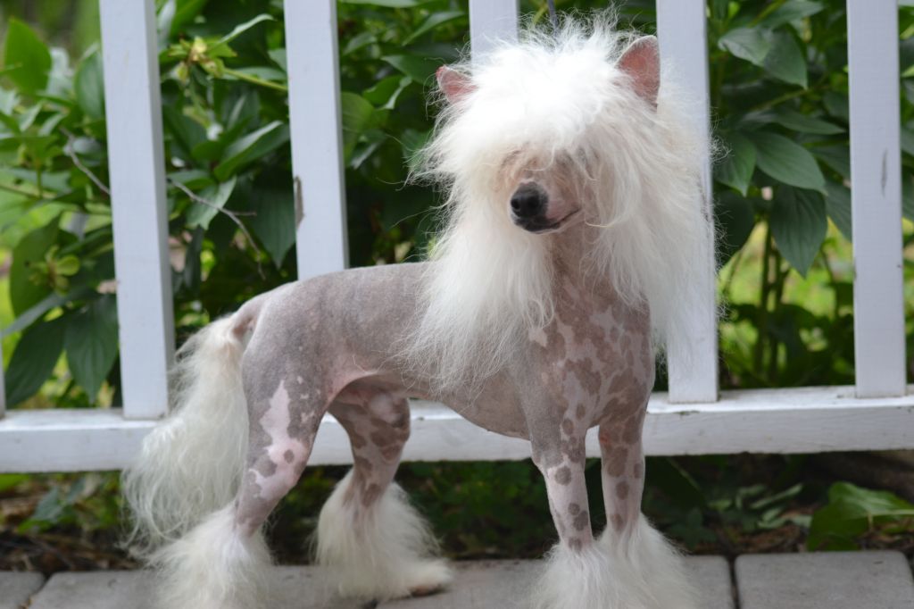 Pammar They Call Me Dr. Love at Famous