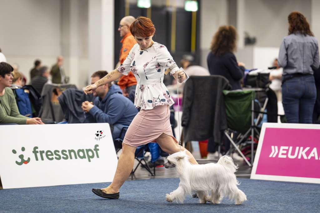 Elfriede Astridsdóttier from Vikings Castle