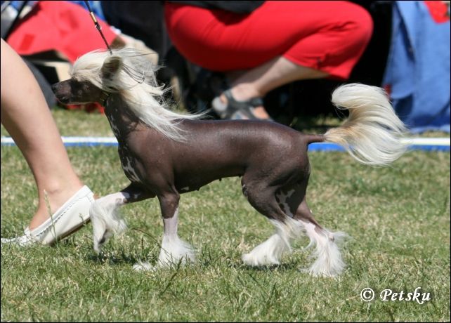 De La Mahafu's Eme's Little Ebony