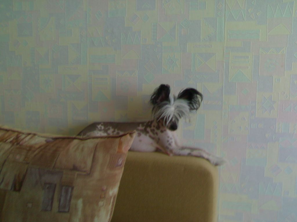 Picture