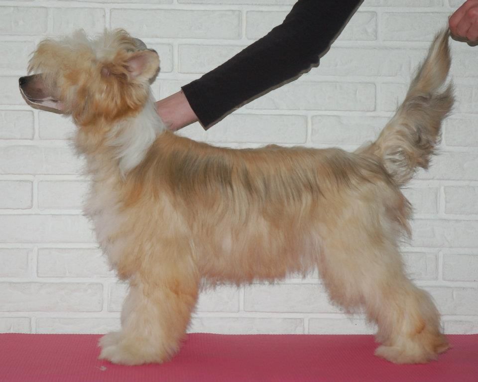 Selinas Edition Nanouk