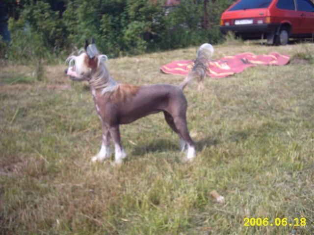 Yalini Hozajka Zelenogo Mira