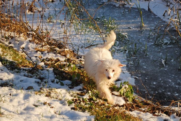 Yes I am so pritty Epocha