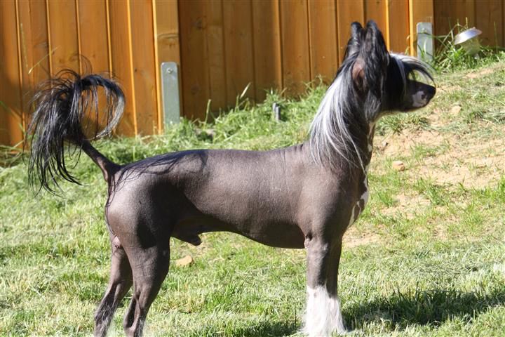 Avatar Prince of Twilight Diamonds