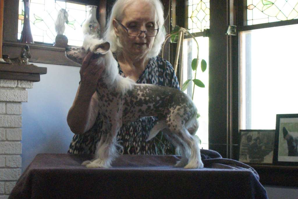 Rosen's Why Not Me for Dokkum