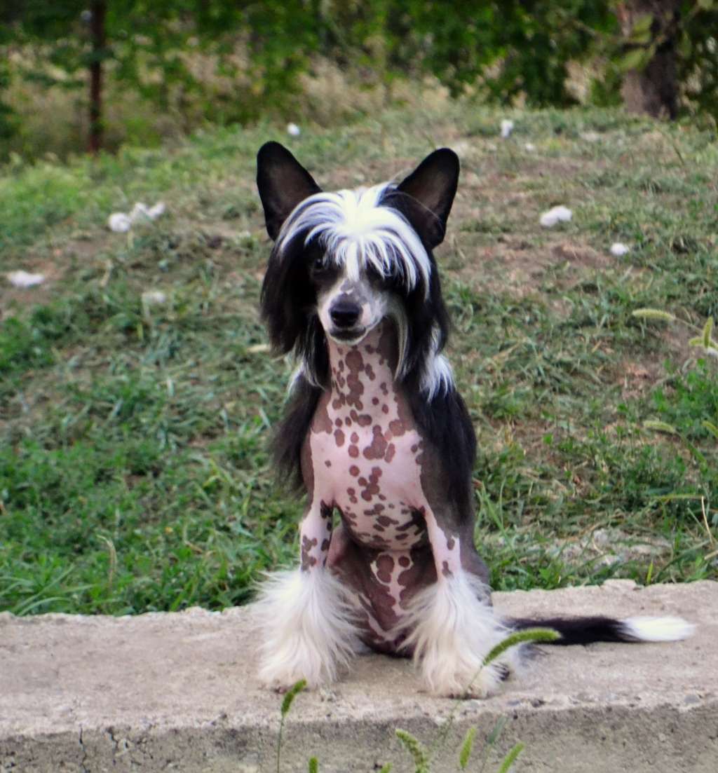 Zheneva-Debjut Vernisazh