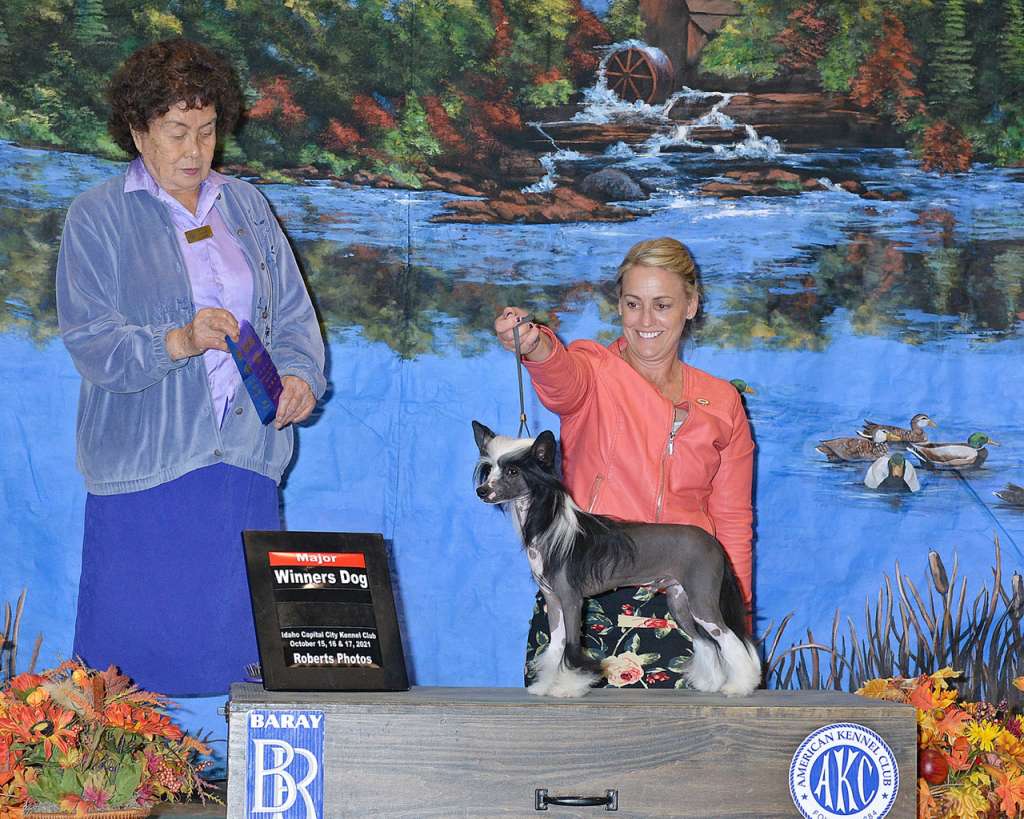 Etno Spirit LuckyStrike