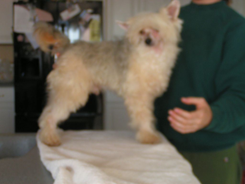 Six Gems Our Lil Zohr