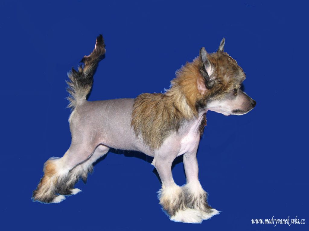 Bonne Bell Modry vanek