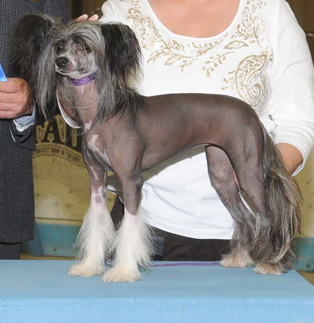 Daretobebare Entertainment Tonight