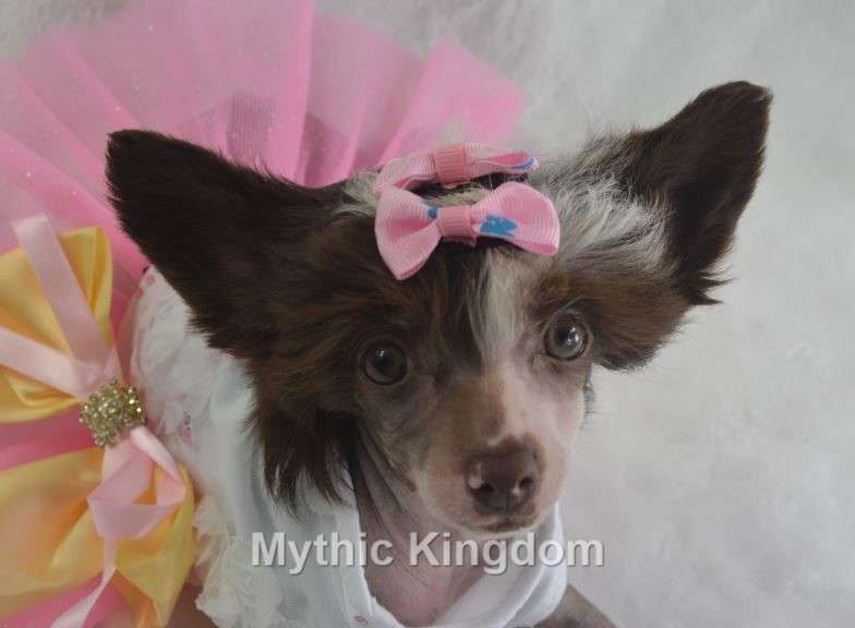 Mythic Chocolate Dream