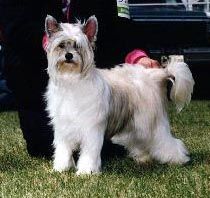 Gingery's Light Bright