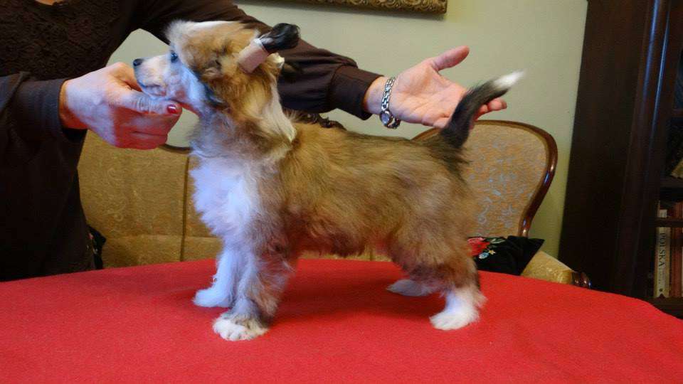 ROXANNE z Lowickiego Ksiestwa